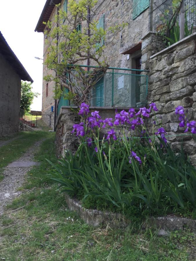 Castello Di Urbech Apartment Пратовекио Екстериор снимка